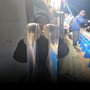 조황, 뉴무지개 왕갈치 계속되는 전원만쿨 조황