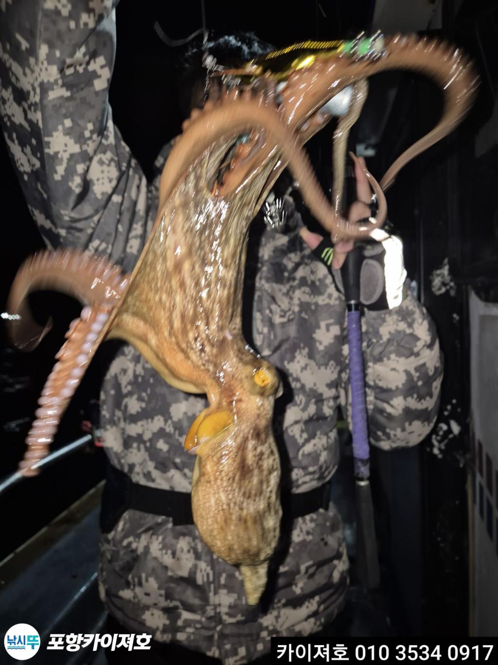 낚시뚜,기타 (직접입력),영일만항,포항카이져호,낚시뚜13