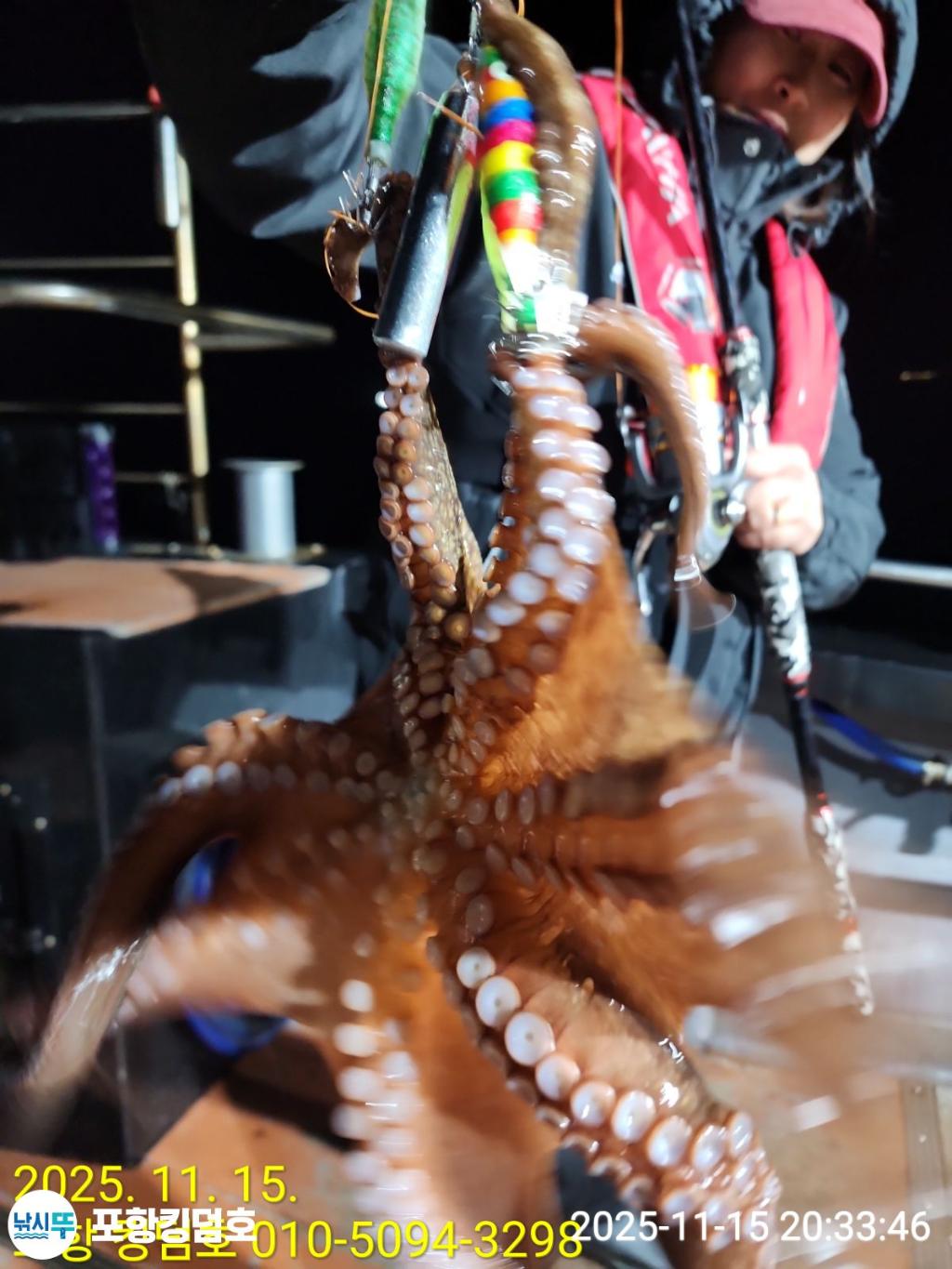 낚시뚜,돌문어,영일만항,포항 킹덤호,낚시뚜29