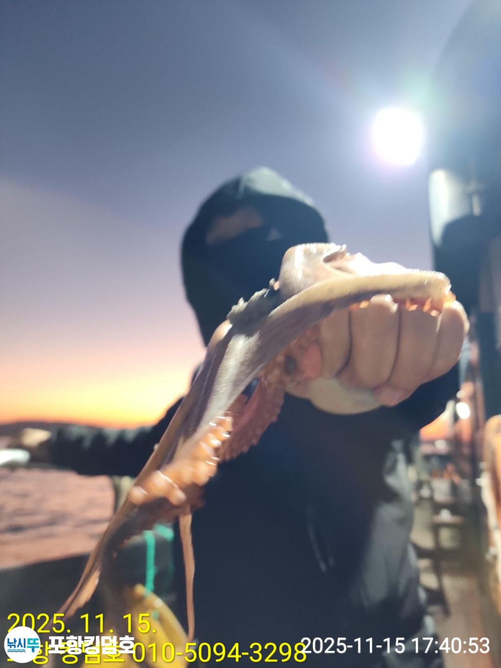 낚시뚜,돌문어,영일만항,포항 킹덤호,낚시뚜22