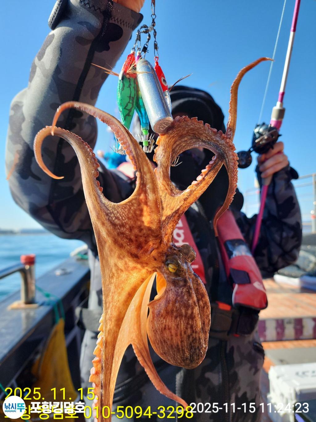 낚시뚜,돌문어,영일만항,포항 킹덤호,낚시뚜8
