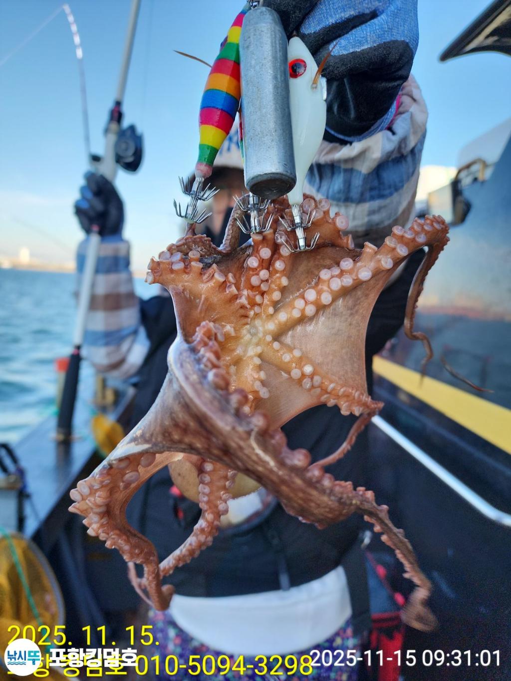 낚시뚜,돌문어,영일만항,포항 킹덤호,낚시뚜2