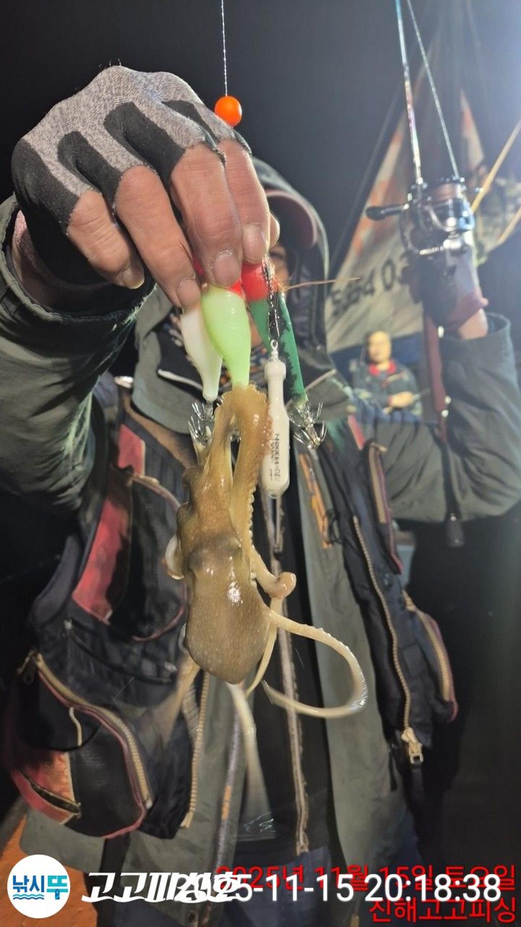 낚시뚜,,속천항(진해),고고피싱호,낚시뚜6