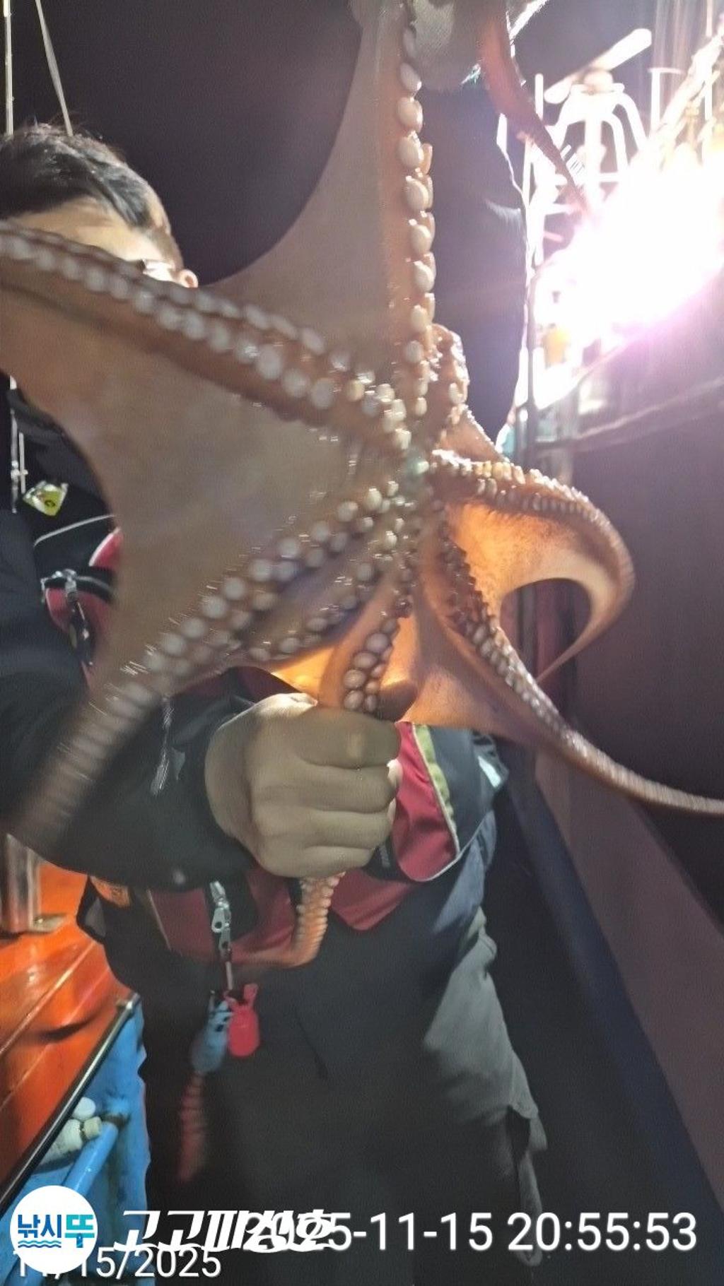 낚시뚜,,속천항(진해),고고피싱호,낚시뚜2