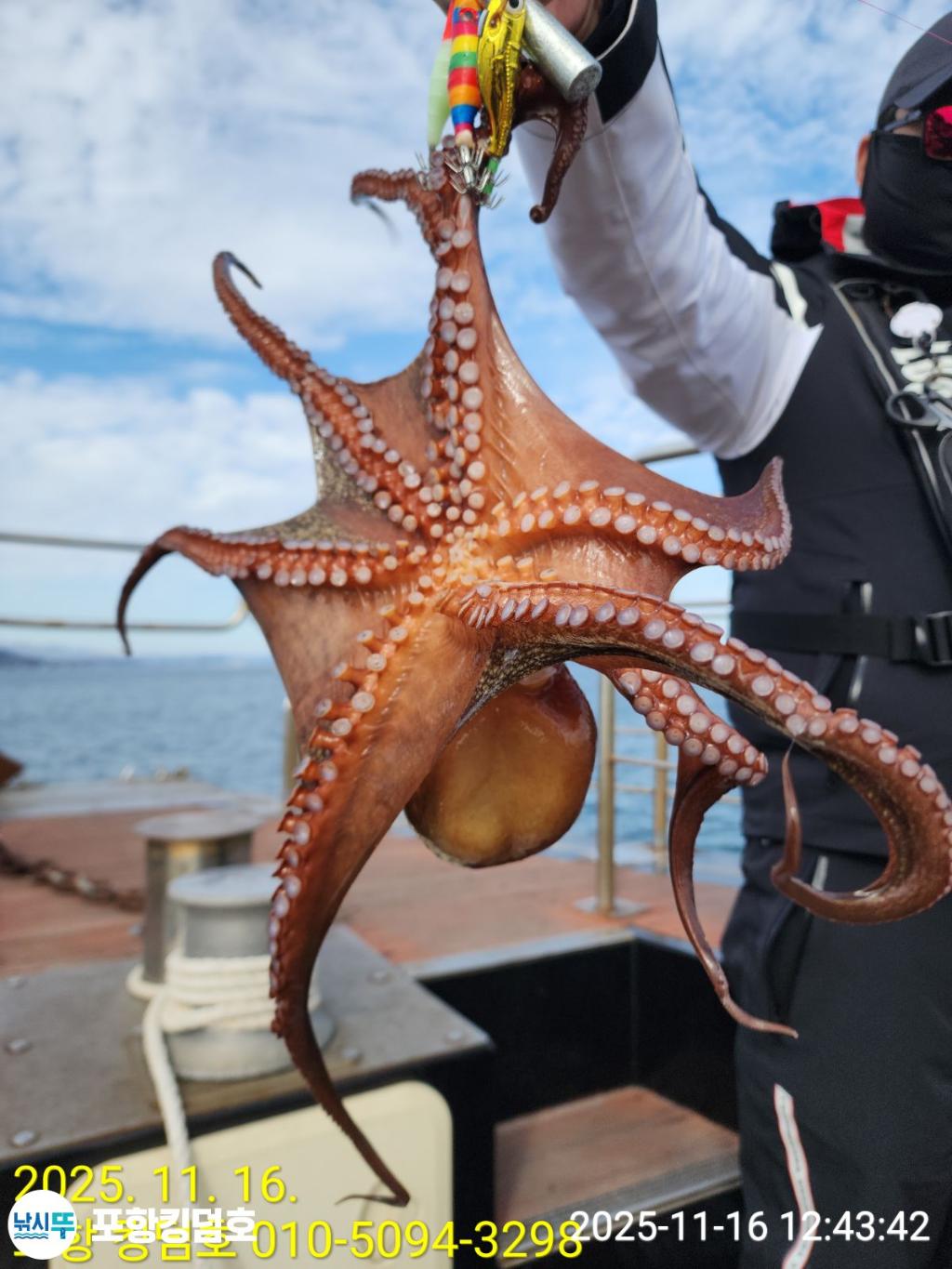 낚시뚜,돌문어,영일만항,포항 킹덤호,낚시뚜16