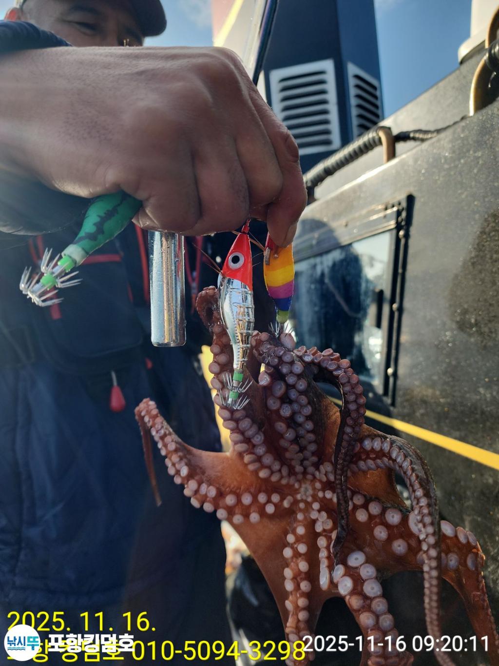 낚시뚜,돌문어,영일만항,포항 킹덤호,낚시뚜5