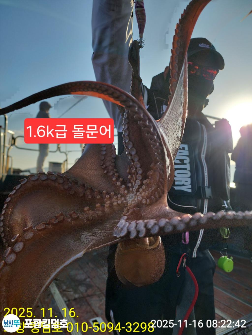 낚시뚜,돌문어,영일만항,포항 킹덤호,낚시뚜0