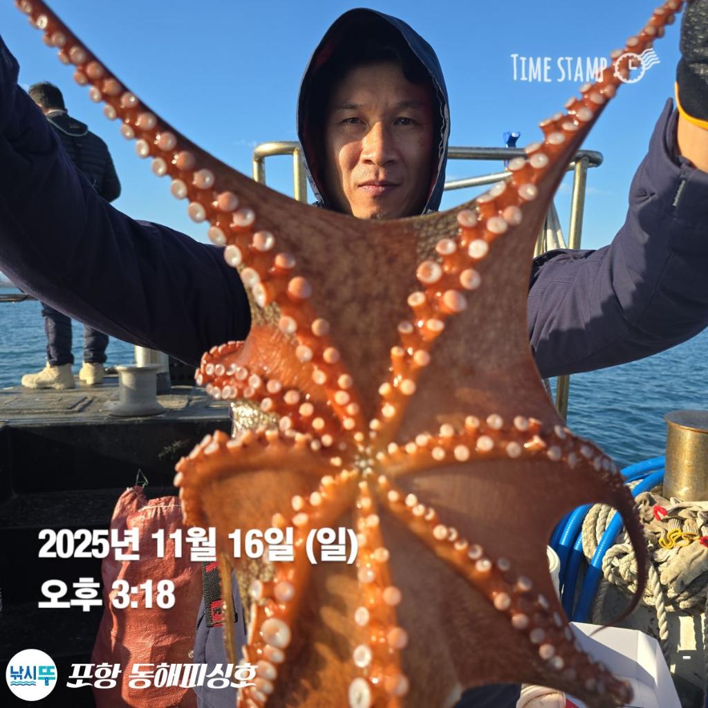 낚시뚜,돌문어,포항(운하관),포항 동해피싱호,낚시뚜18