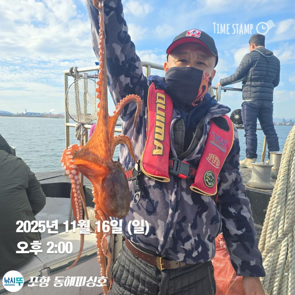 낚시뚜,돌문어,포항(운하관),포항 동해피싱호,낚시뚜17
