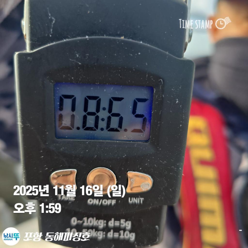 낚시뚜,돌문어,포항(운하관),포항 동해피싱호,낚시뚜16