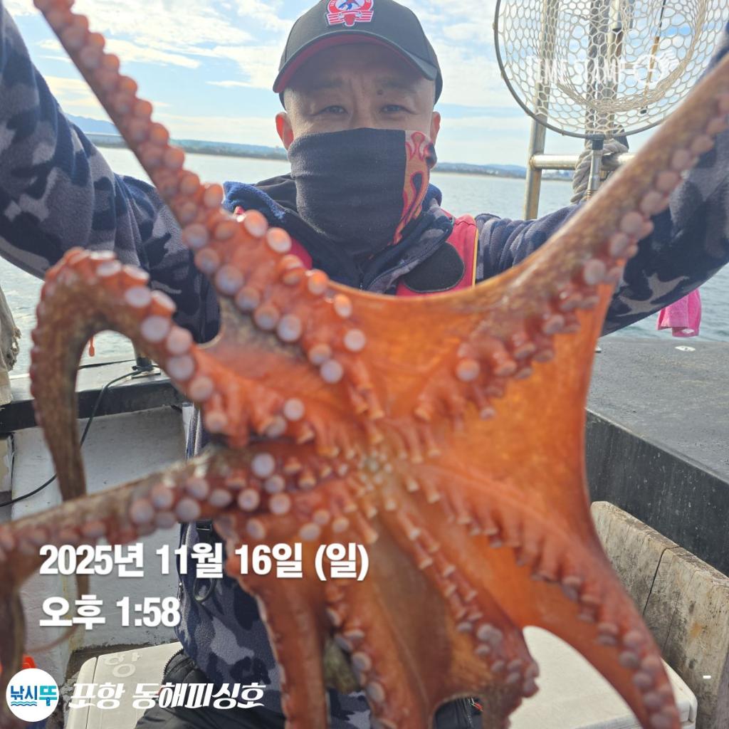 낚시뚜,돌문어,포항(운하관),포항 동해피싱호,낚시뚜15