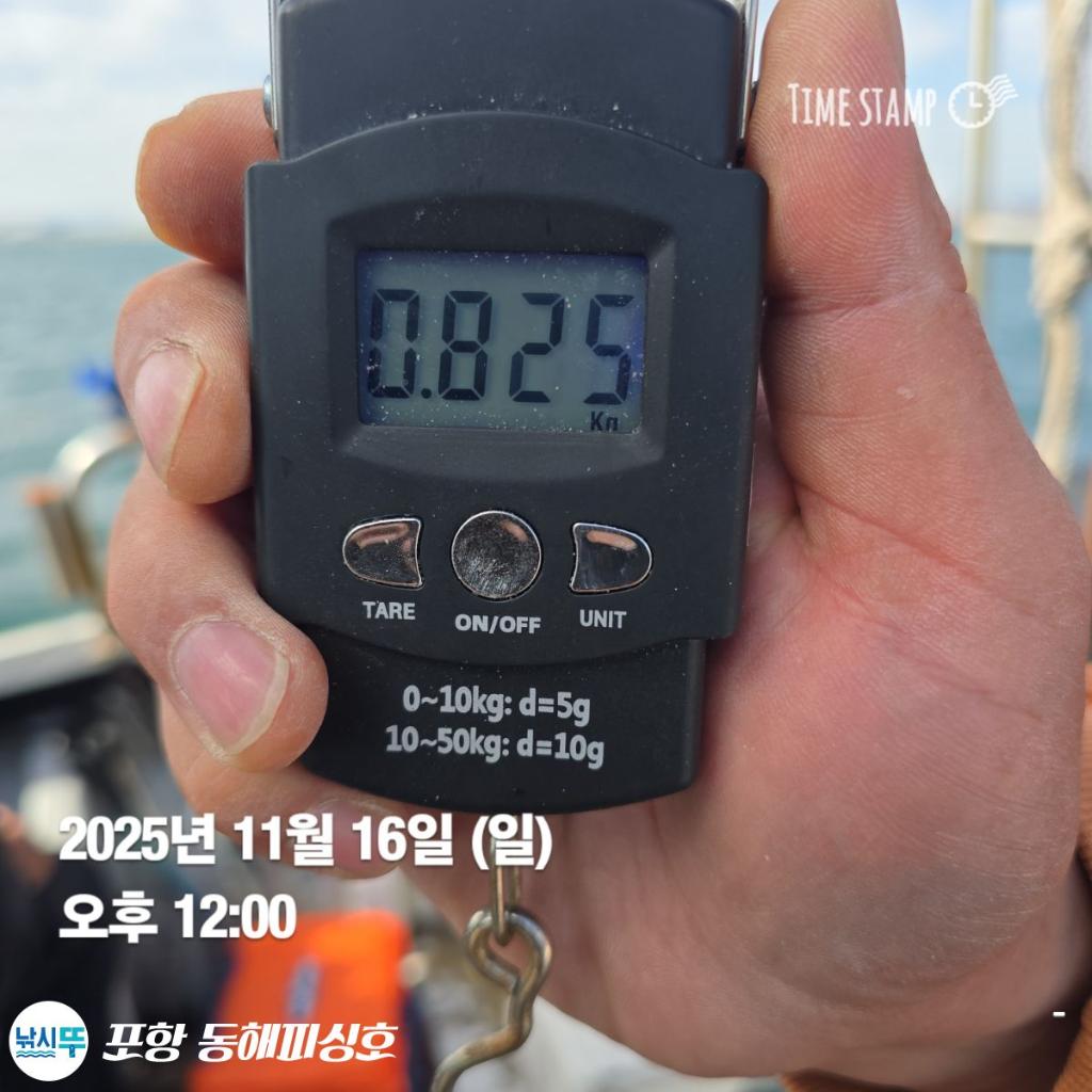 낚시뚜,돌문어,포항(운하관),포항 동해피싱호,낚시뚜12