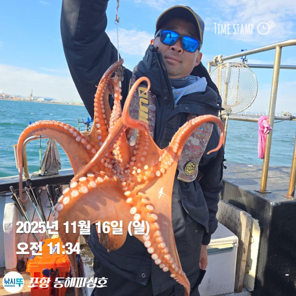 낚시뚜,돌문어,포항(운하관),포항 동해피싱호,낚시뚜10