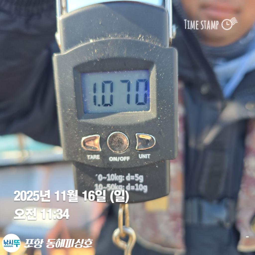 낚시뚜,돌문어,포항(운하관),포항 동해피싱호,낚시뚜9