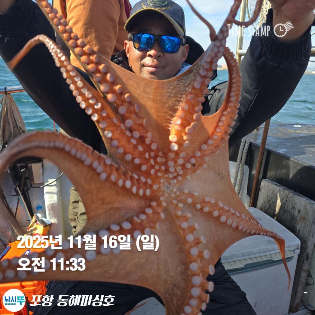 낚시뚜,돌문어,포항(운하관),포항 동해피싱호,낚시뚜8