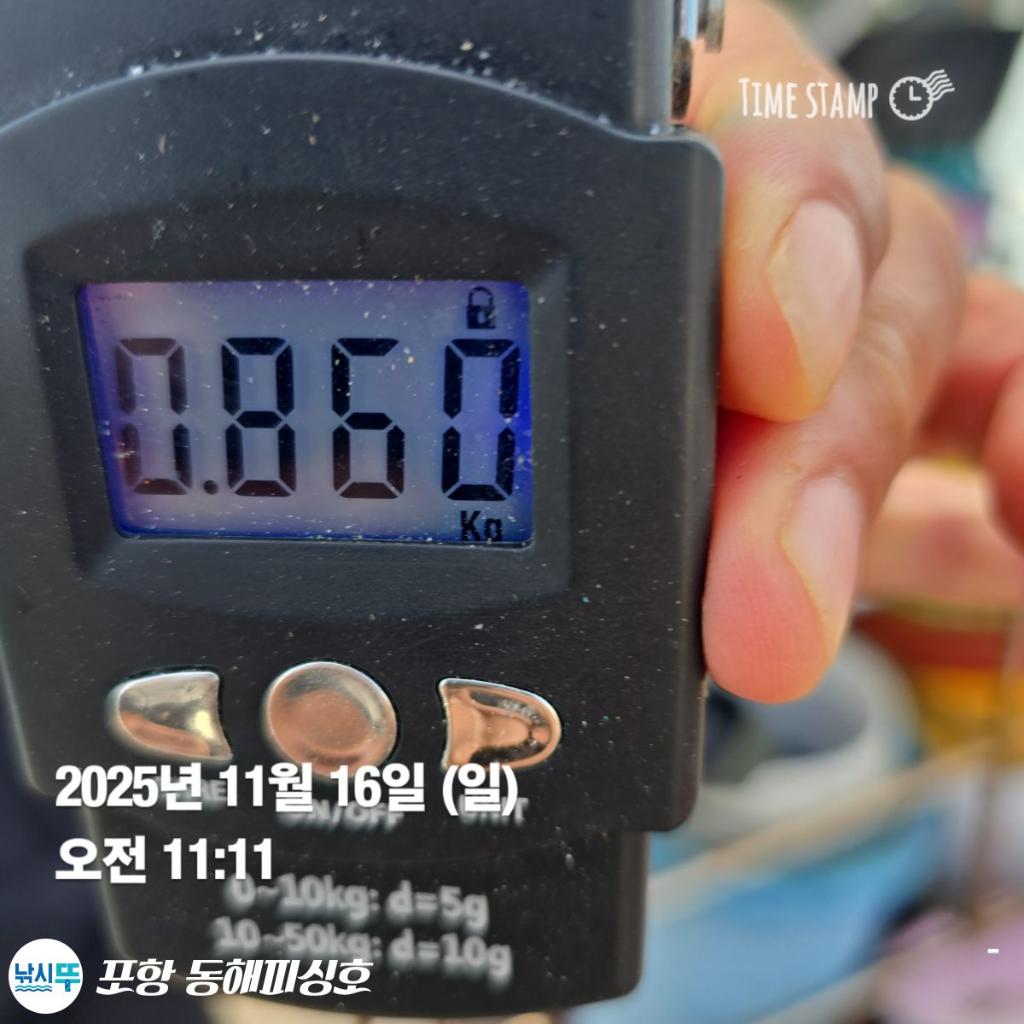 낚시뚜,돌문어,포항(운하관),포항 동해피싱호,낚시뚜7