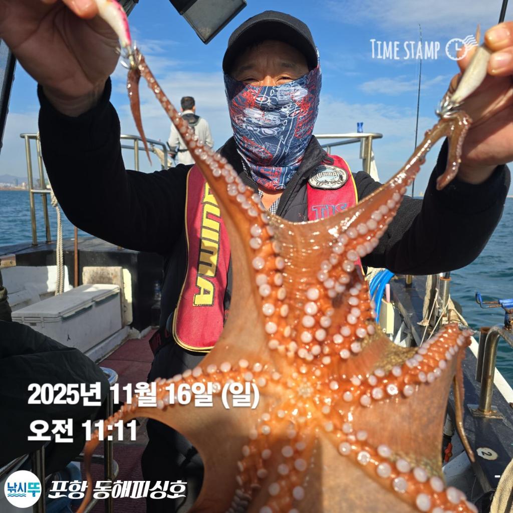 낚시뚜,돌문어,포항(운하관),포항 동해피싱호,낚시뚜6