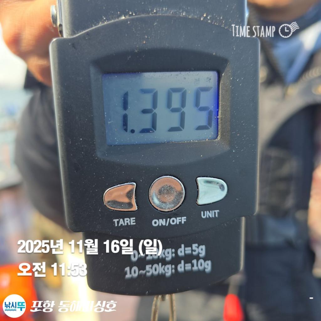 낚시뚜,돌문어,포항(운하관),포항 동해피싱호,낚시뚜4