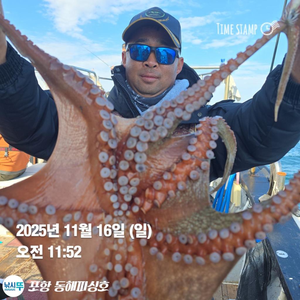 낚시뚜,돌문어,포항(운하관),포항 동해피싱호,낚시뚜3