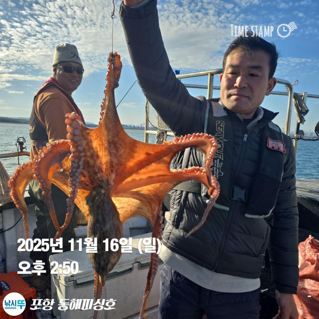 낚시뚜,돌문어,포항(운하관),포항 동해피싱호,낚시뚜2