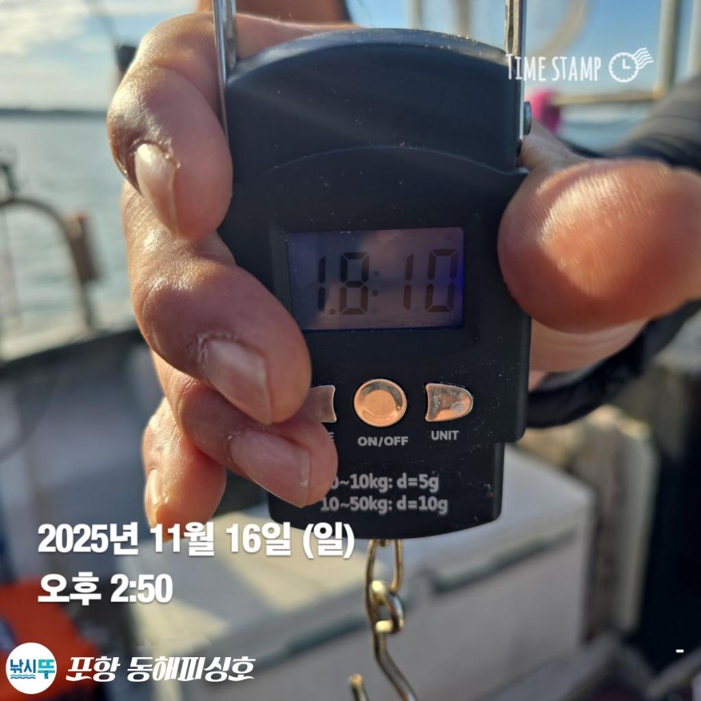 낚시뚜,돌문어,포항(운하관),포항 동해피싱호,낚시뚜1