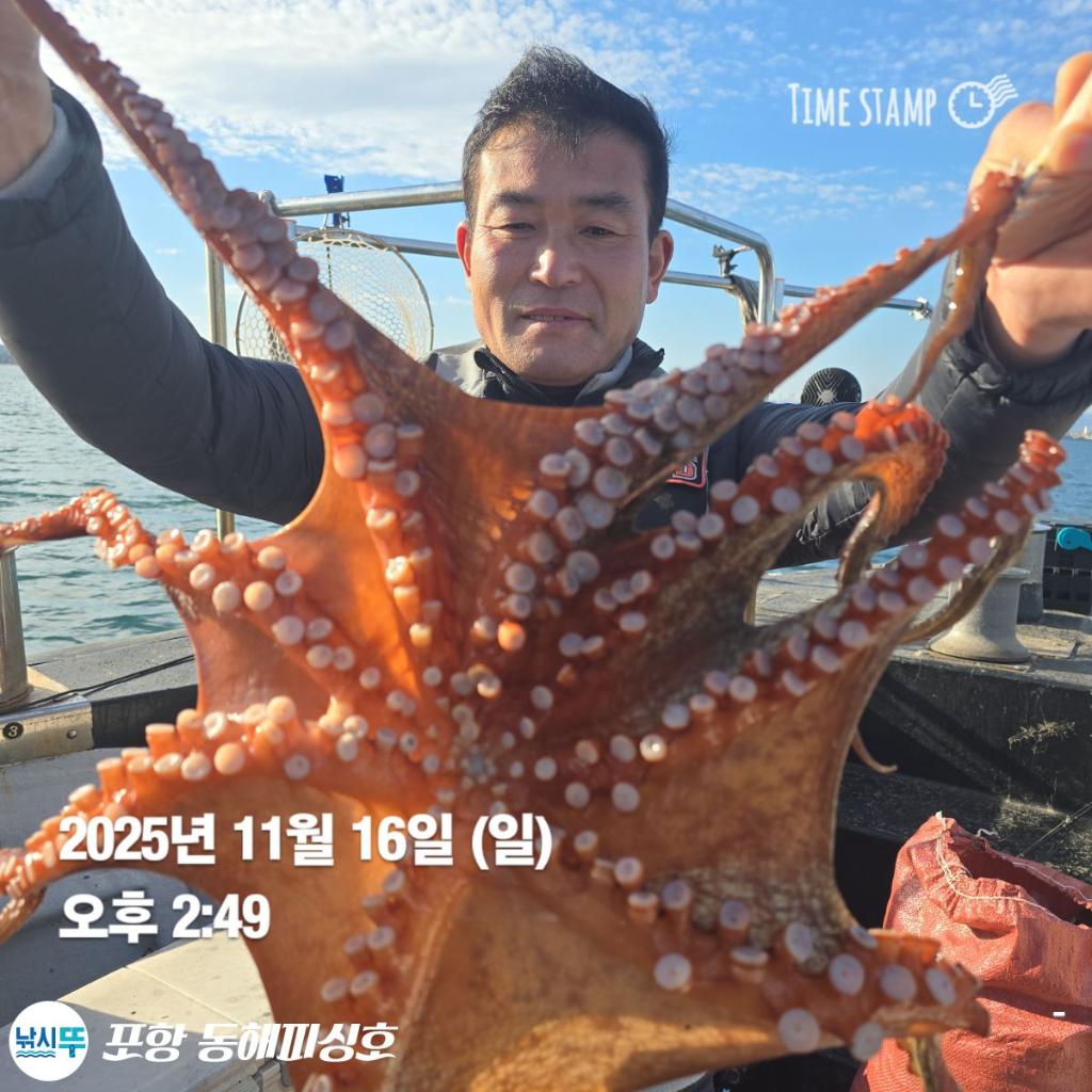 낚시뚜,돌문어,포항(운하관),포항 동해피싱호,낚시뚜0