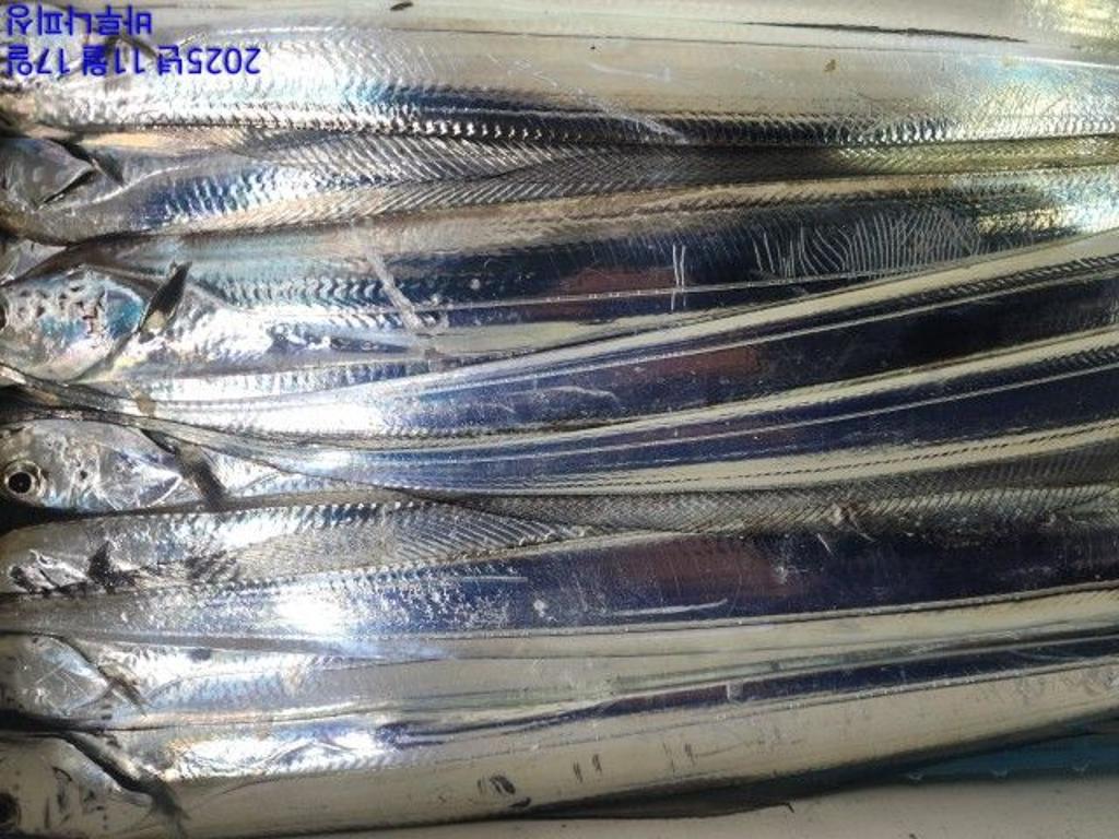 낚시뚜,갈치,속천항(진해),바루나피싱,낚시뚜8