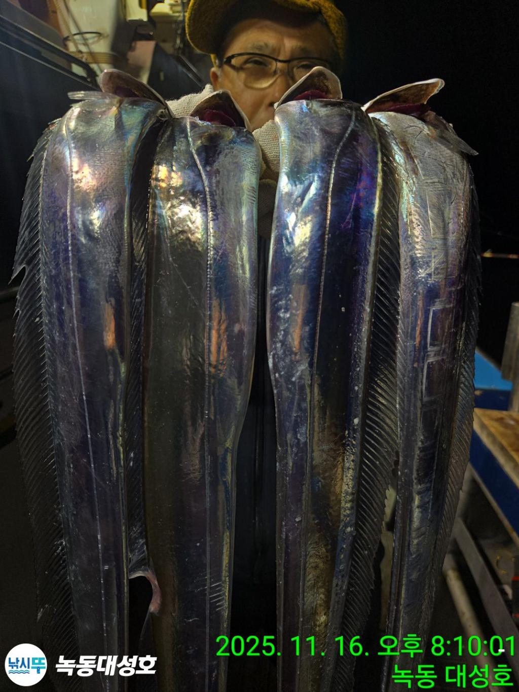 낚시뚜,갈치,녹동항,녹동대성호,낚시뚜26