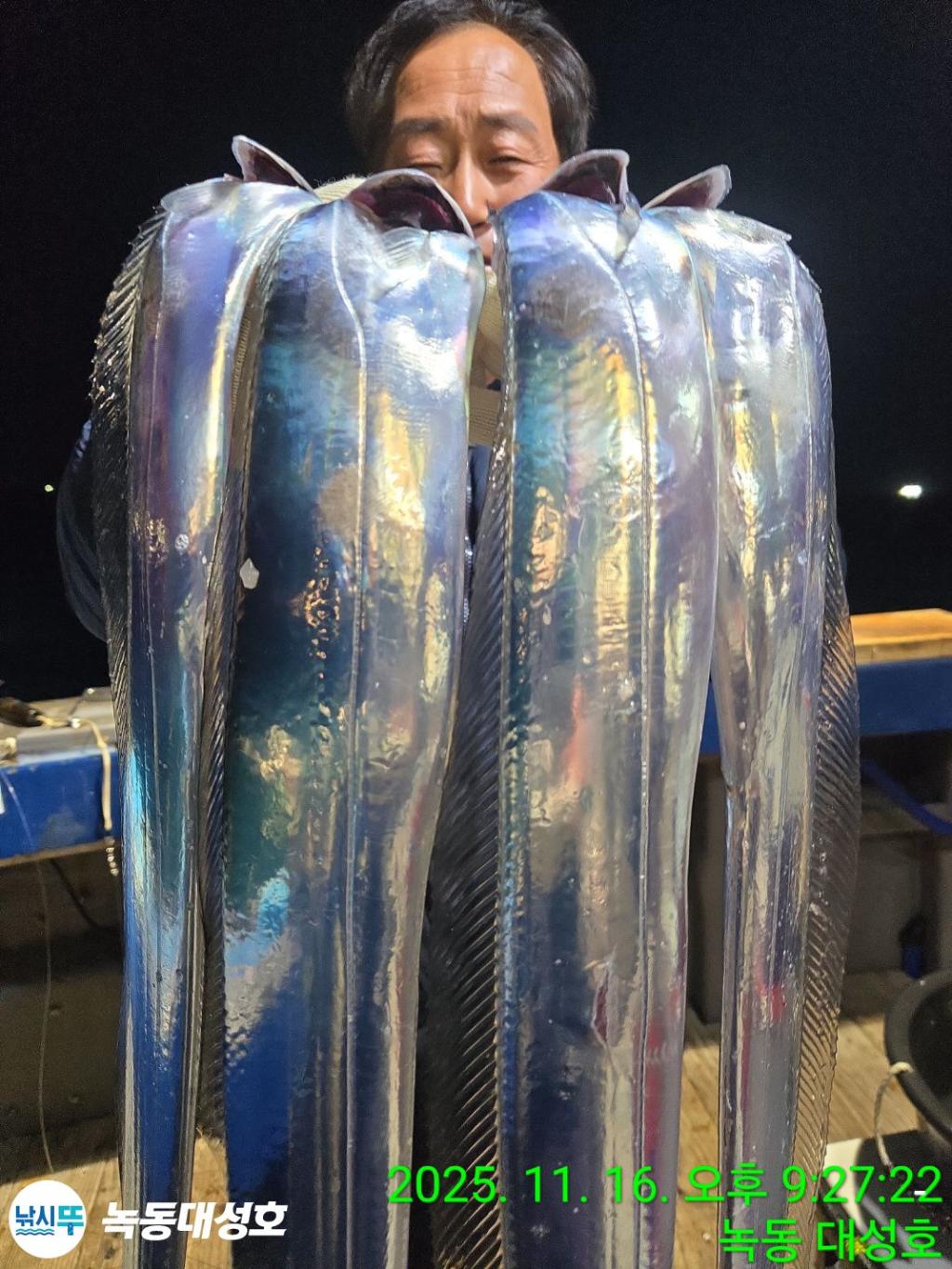 낚시뚜,갈치,녹동항,녹동대성호,낚시뚜24