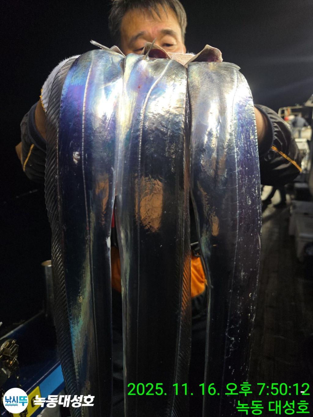 낚시뚜,갈치,녹동항,녹동대성호,낚시뚜21