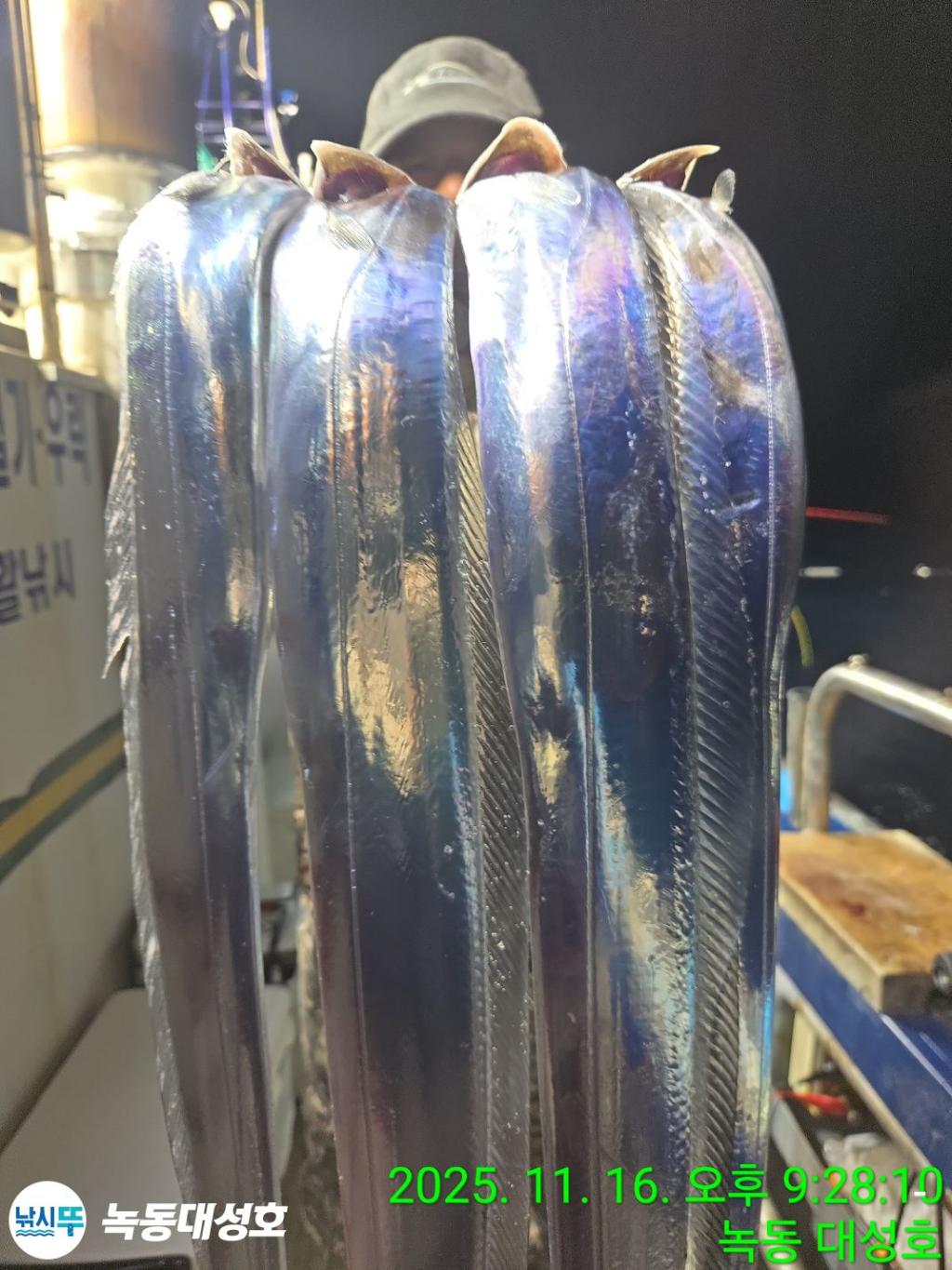 낚시뚜,갈치,녹동항,녹동대성호,낚시뚜20