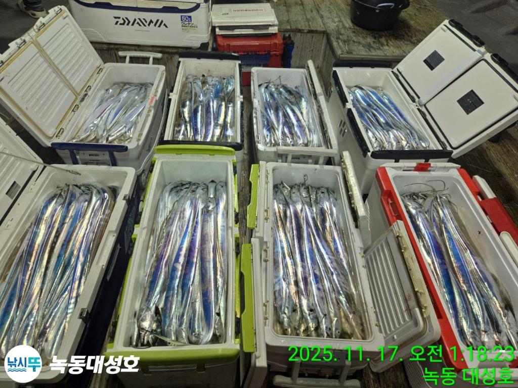 낚시뚜,갈치,녹동항,녹동대성호,낚시뚜4