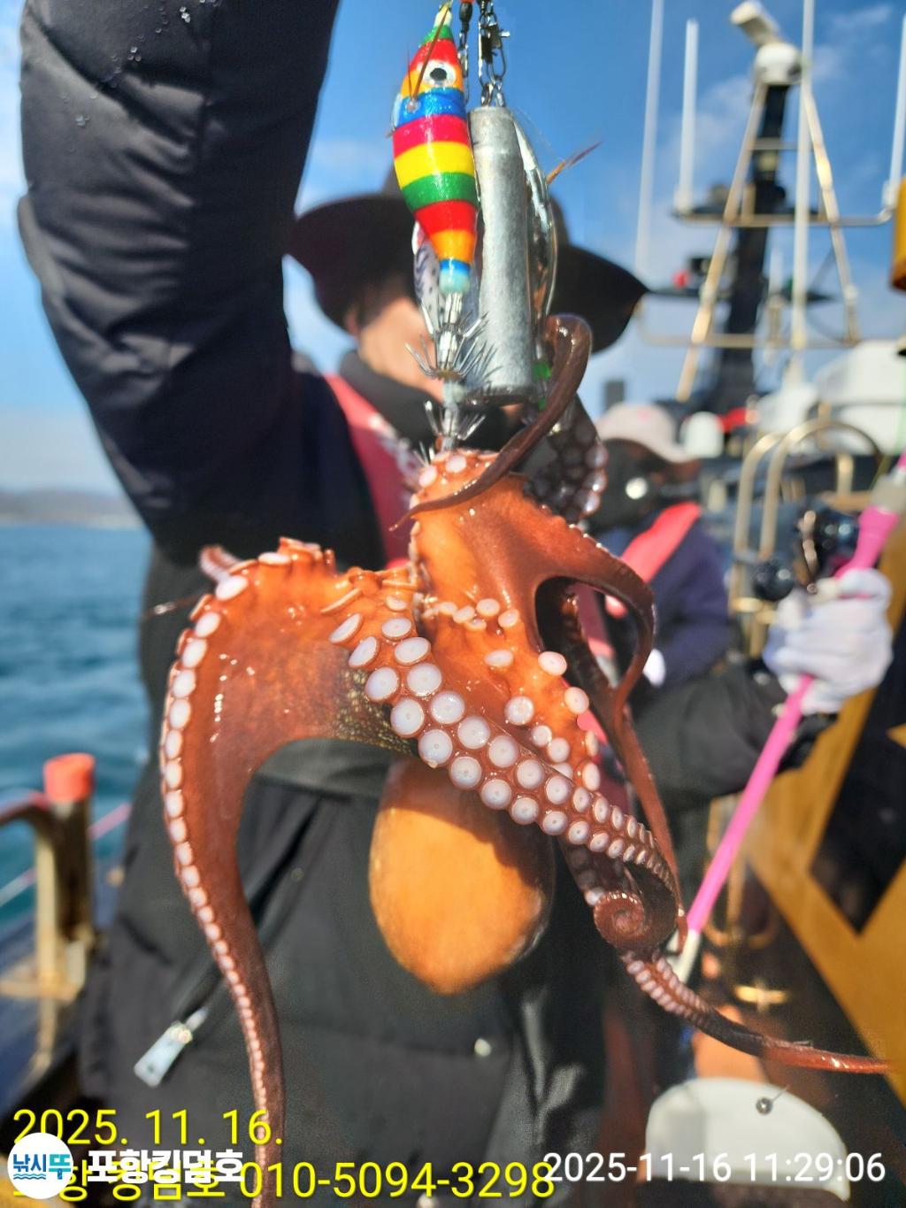 낚시뚜,돌문어,방어,영일만항,포항 킹덤호,낚시뚜21