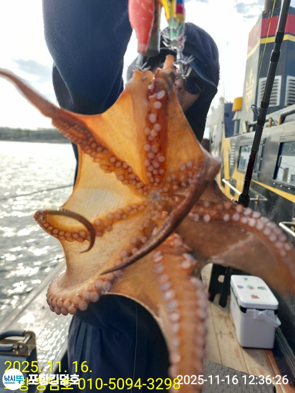 낚시뚜,돌문어,방어,영일만항,포항 킹덤호,낚시뚜19