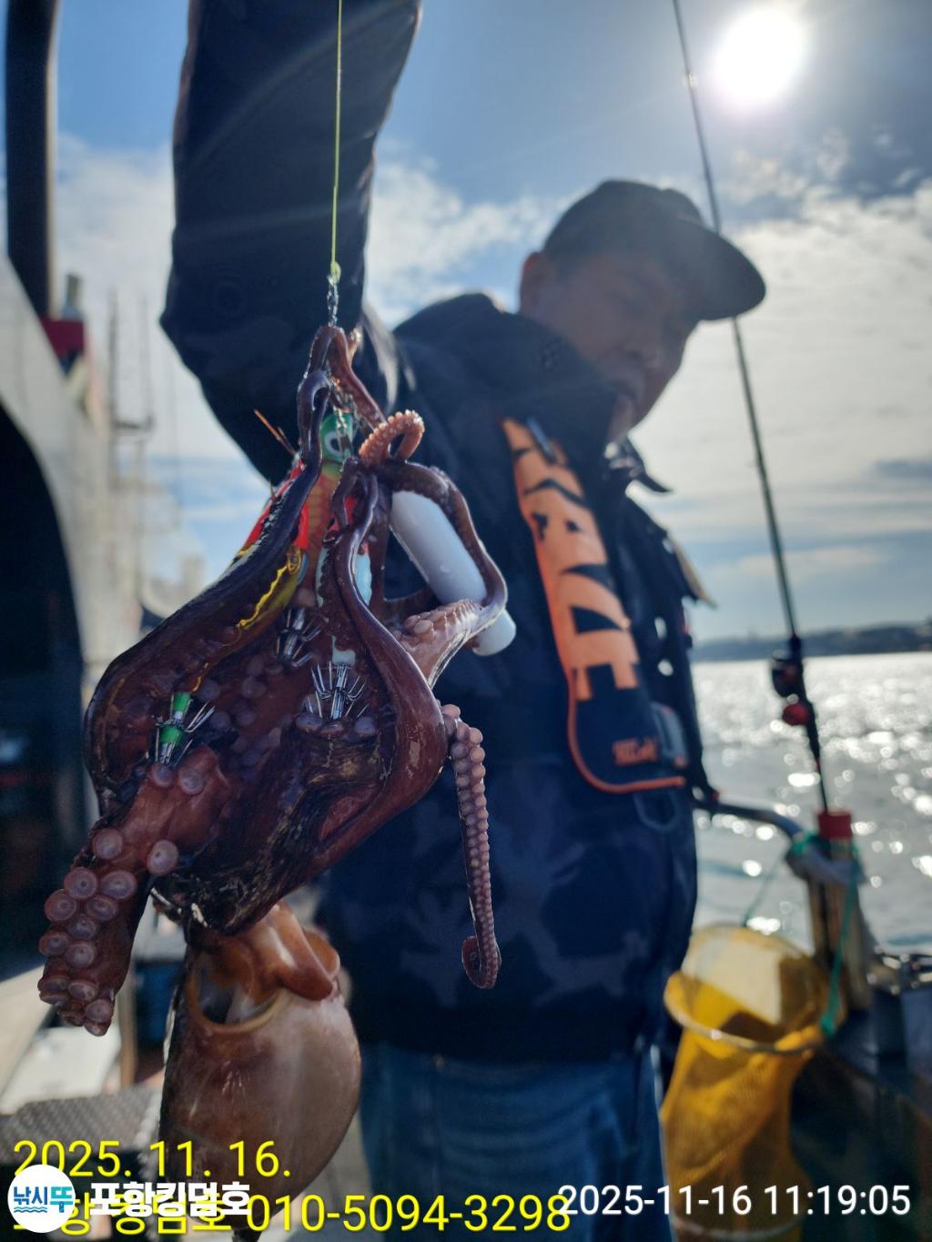 낚시뚜,돌문어,방어,영일만항,포항 킹덤호,낚시뚜16