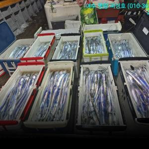 조황, 갈치14석 전좌석 투채비 가능 대장쿨러 조황으로 입항