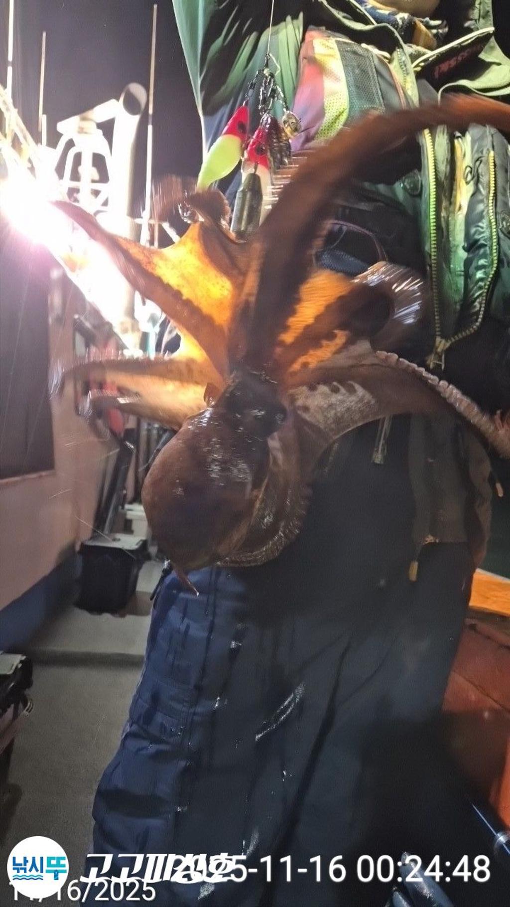 낚시뚜,,속천항(진해),고고피싱호,낚시뚜9