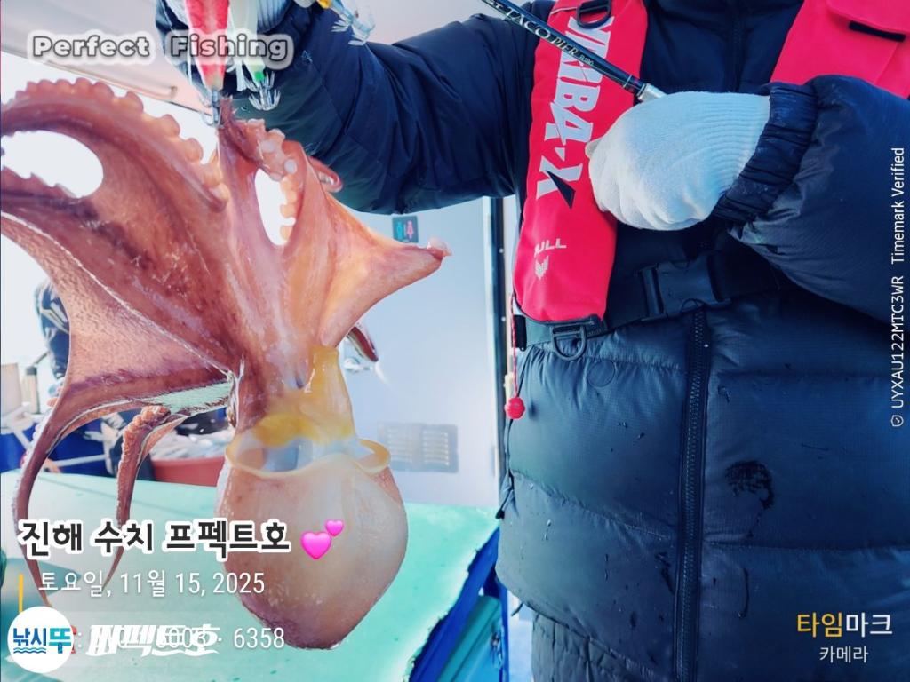 낚시뚜,문어,진해 수치마을 방파제,퍼펙트호,낚시뚜4