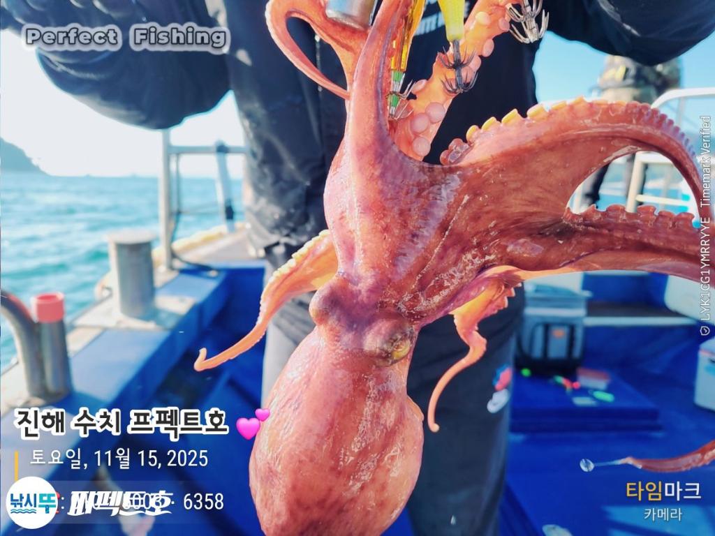 낚시뚜,문어,진해 수치마을 방파제,퍼펙트호,낚시뚜1