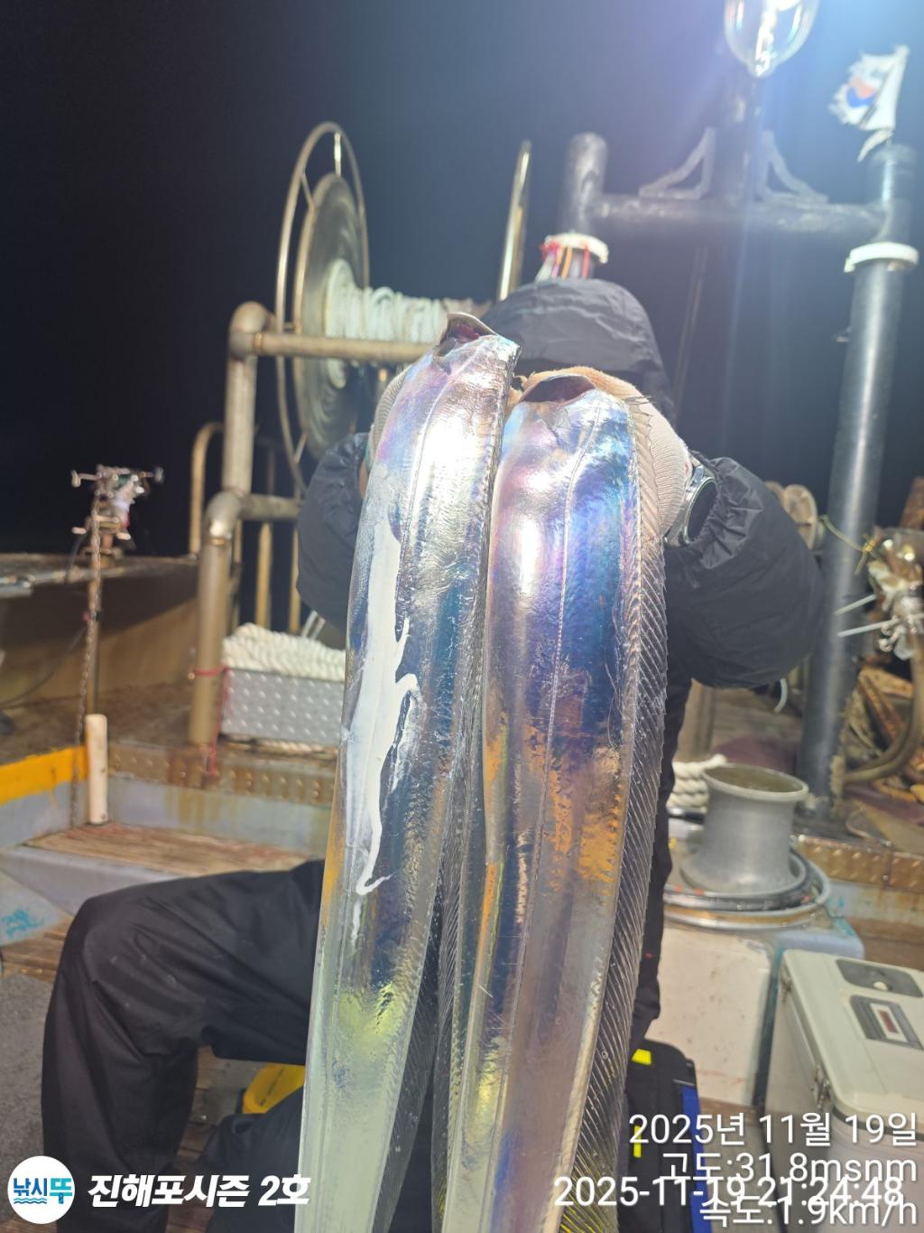 낚시뚜,갈치,진해행암항,진해포시즌 2호,낚시뚜0