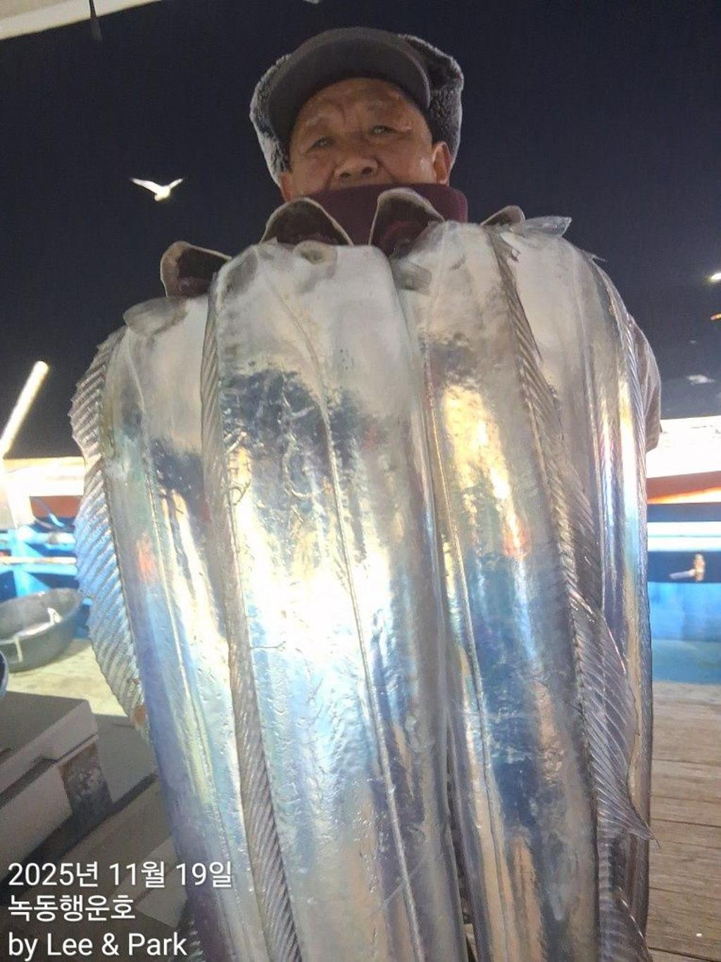 낚시뚜,갈치,녹동항,녹동대성호,낚시뚜17