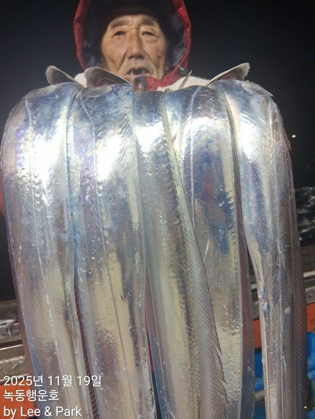 낚시뚜,갈치,녹동항,녹동대성호,낚시뚜16