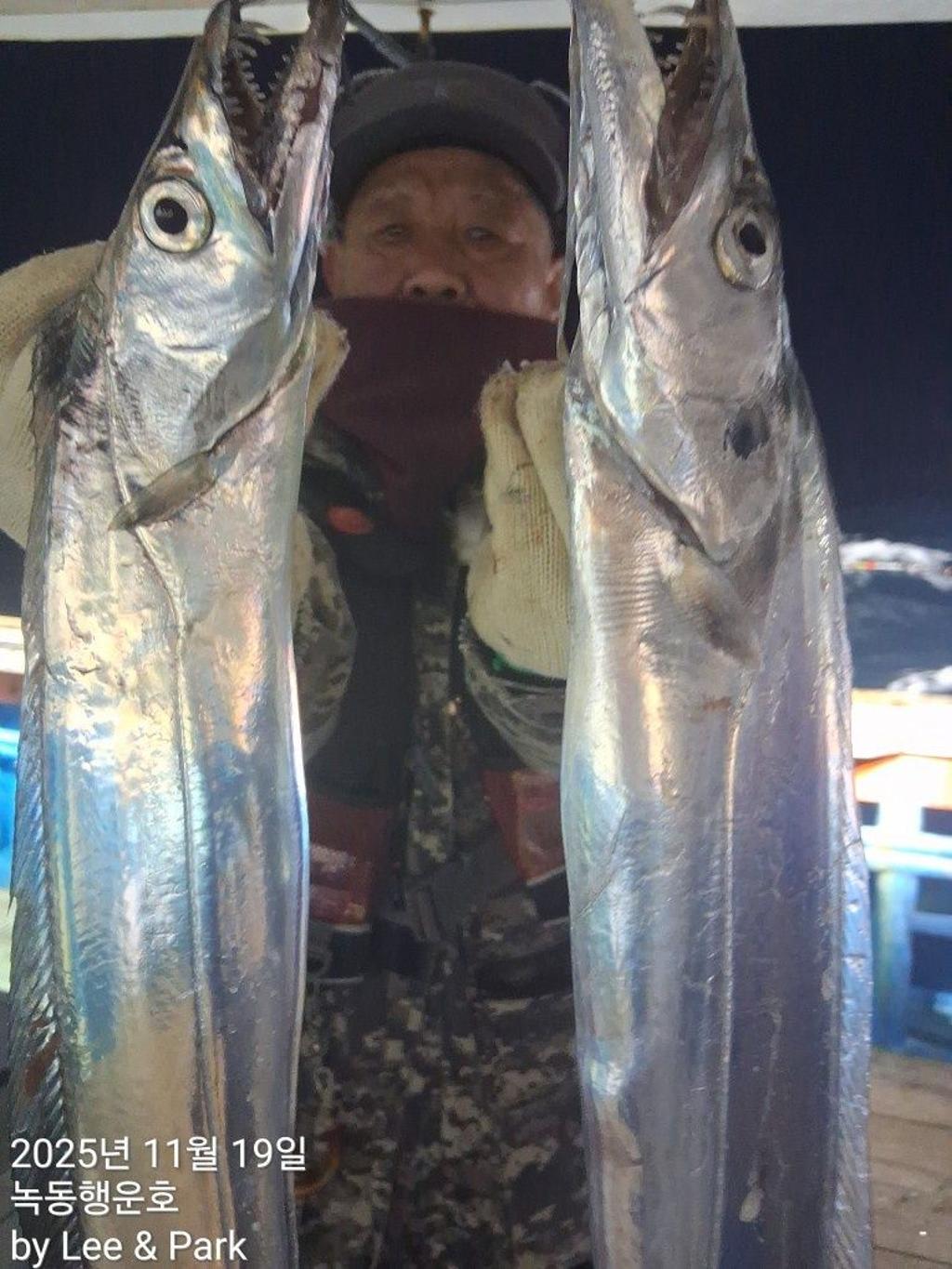 낚시뚜,갈치,녹동항,녹동대성호,낚시뚜14