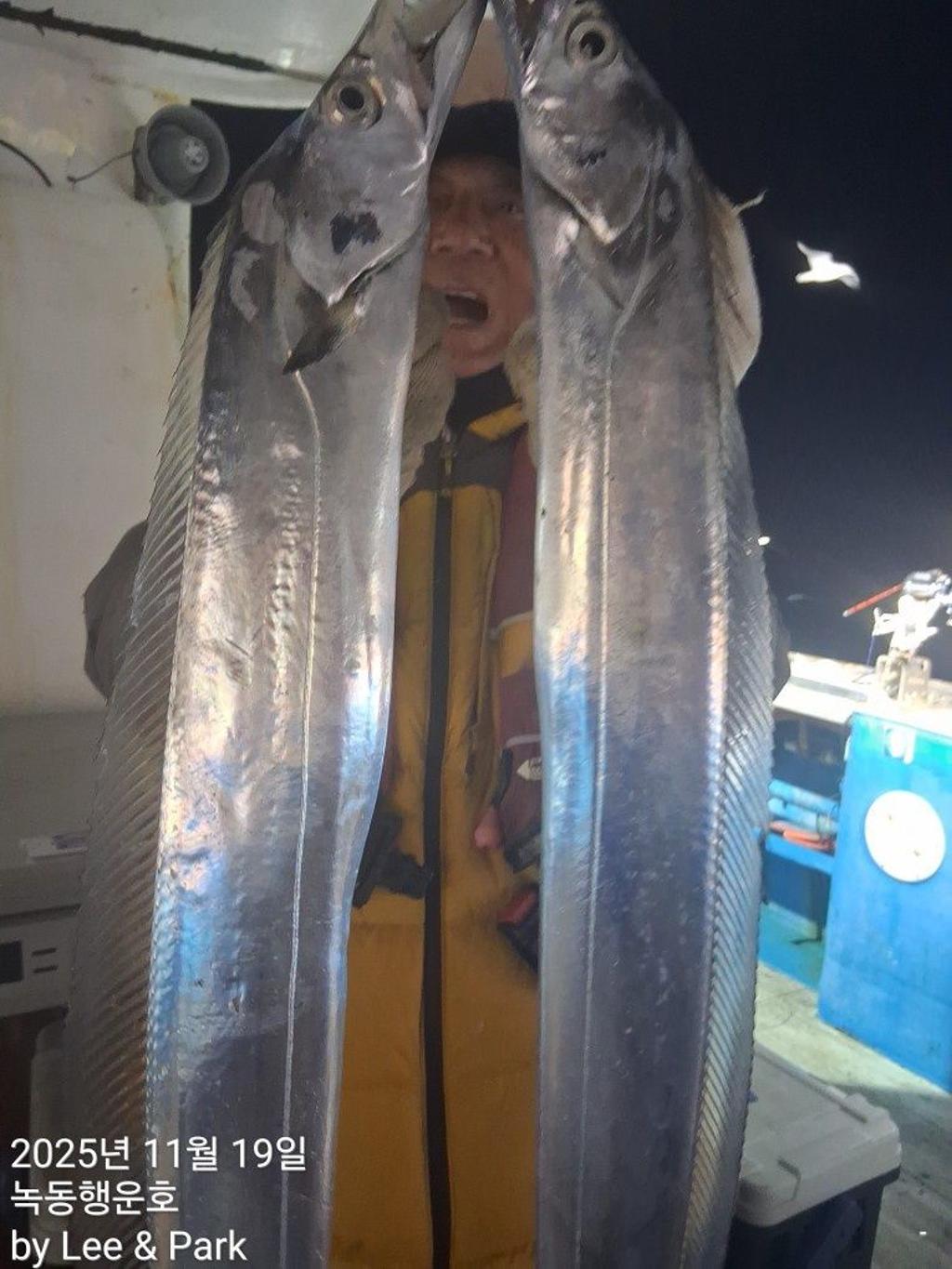 낚시뚜,갈치,녹동항,녹동대성호,낚시뚜13