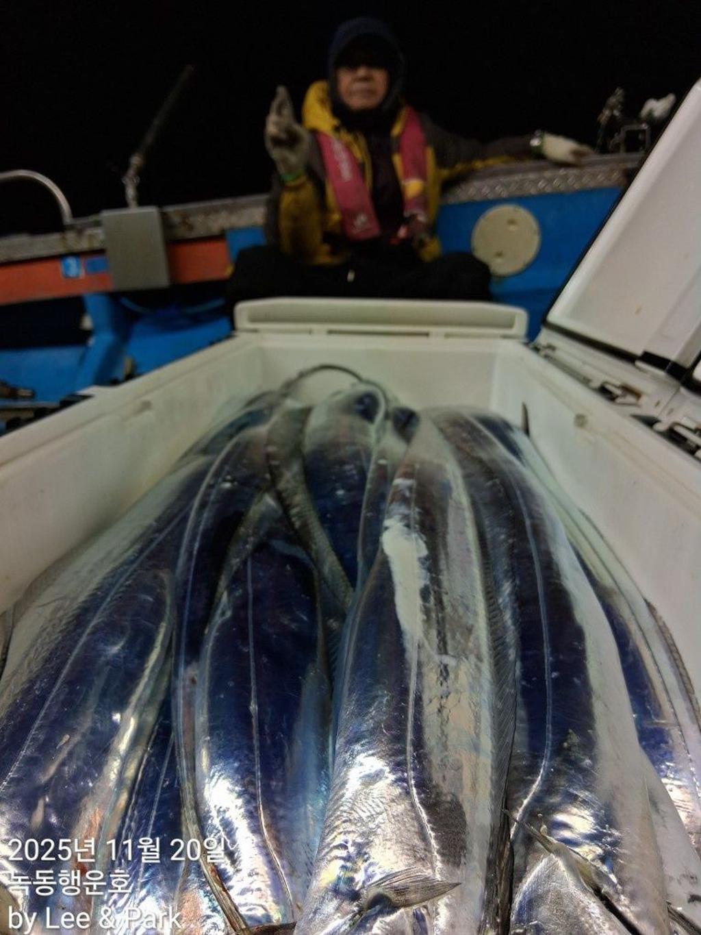 낚시뚜,갈치,녹동항,녹동대성호,낚시뚜9