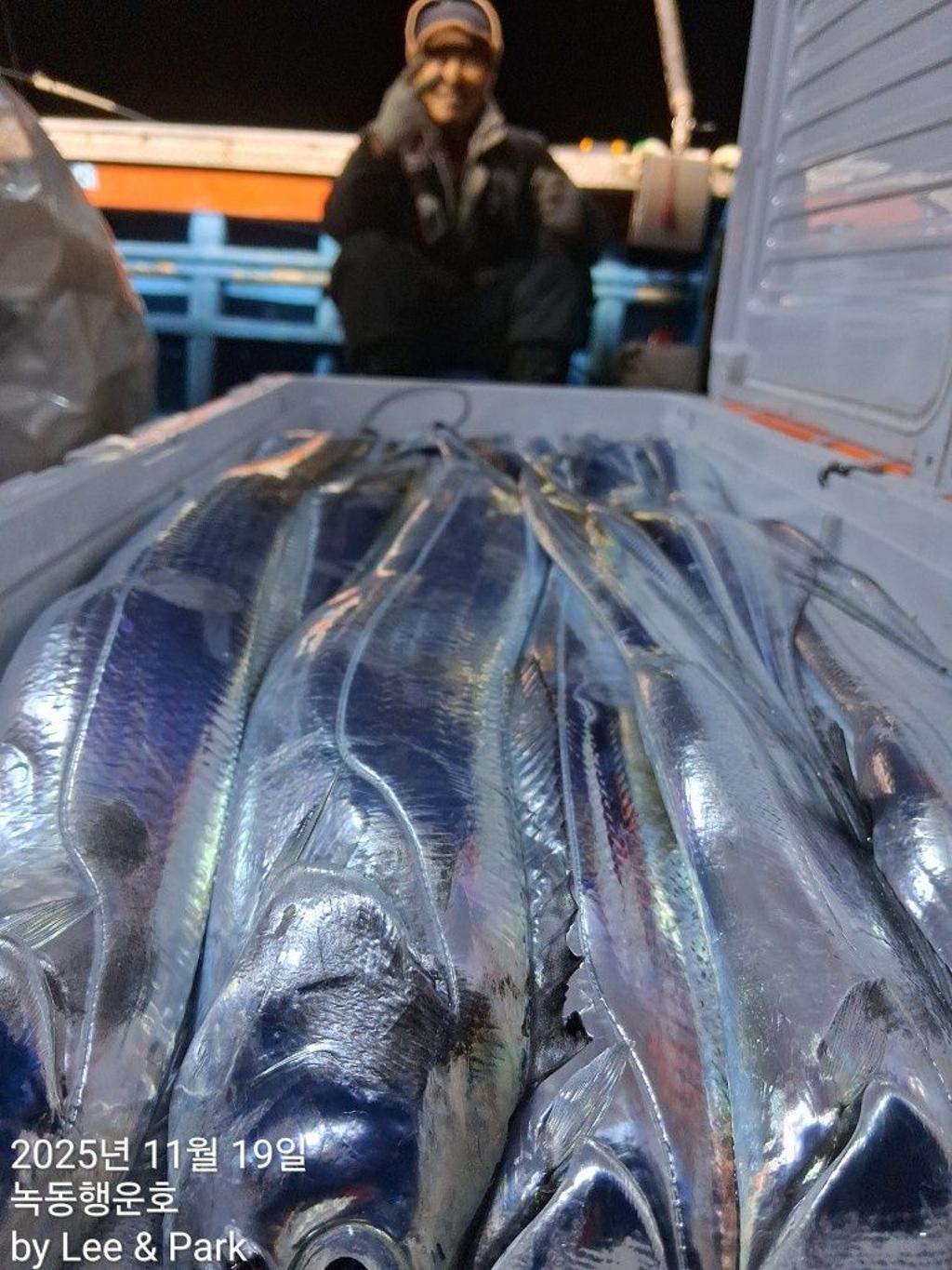 낚시뚜,갈치,녹동항,녹동대성호,낚시뚜6