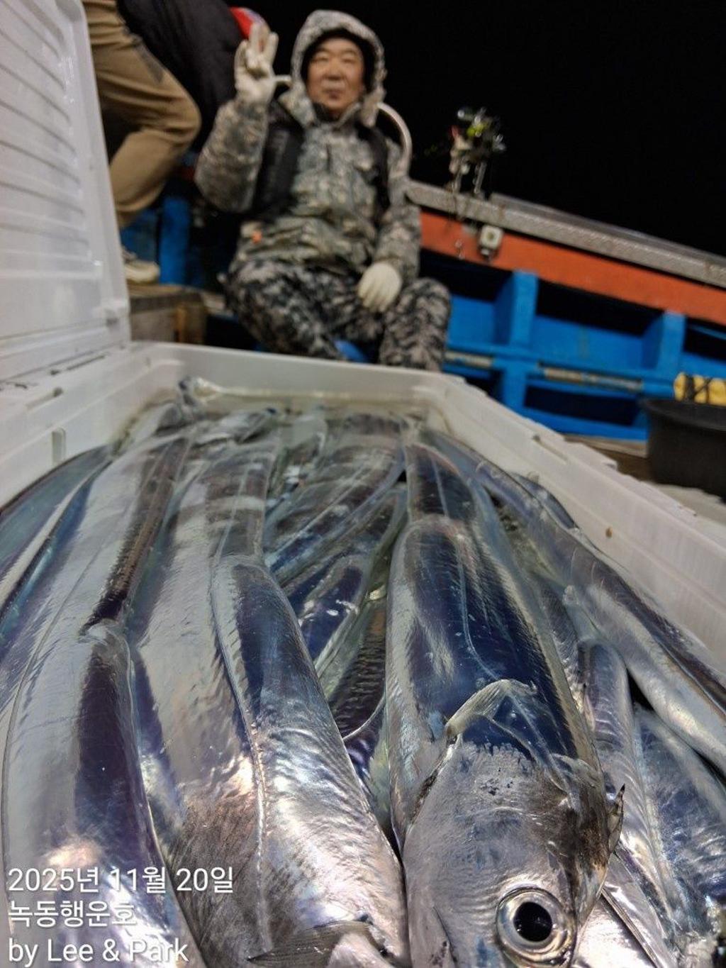 낚시뚜,갈치,녹동항,녹동대성호,낚시뚜5