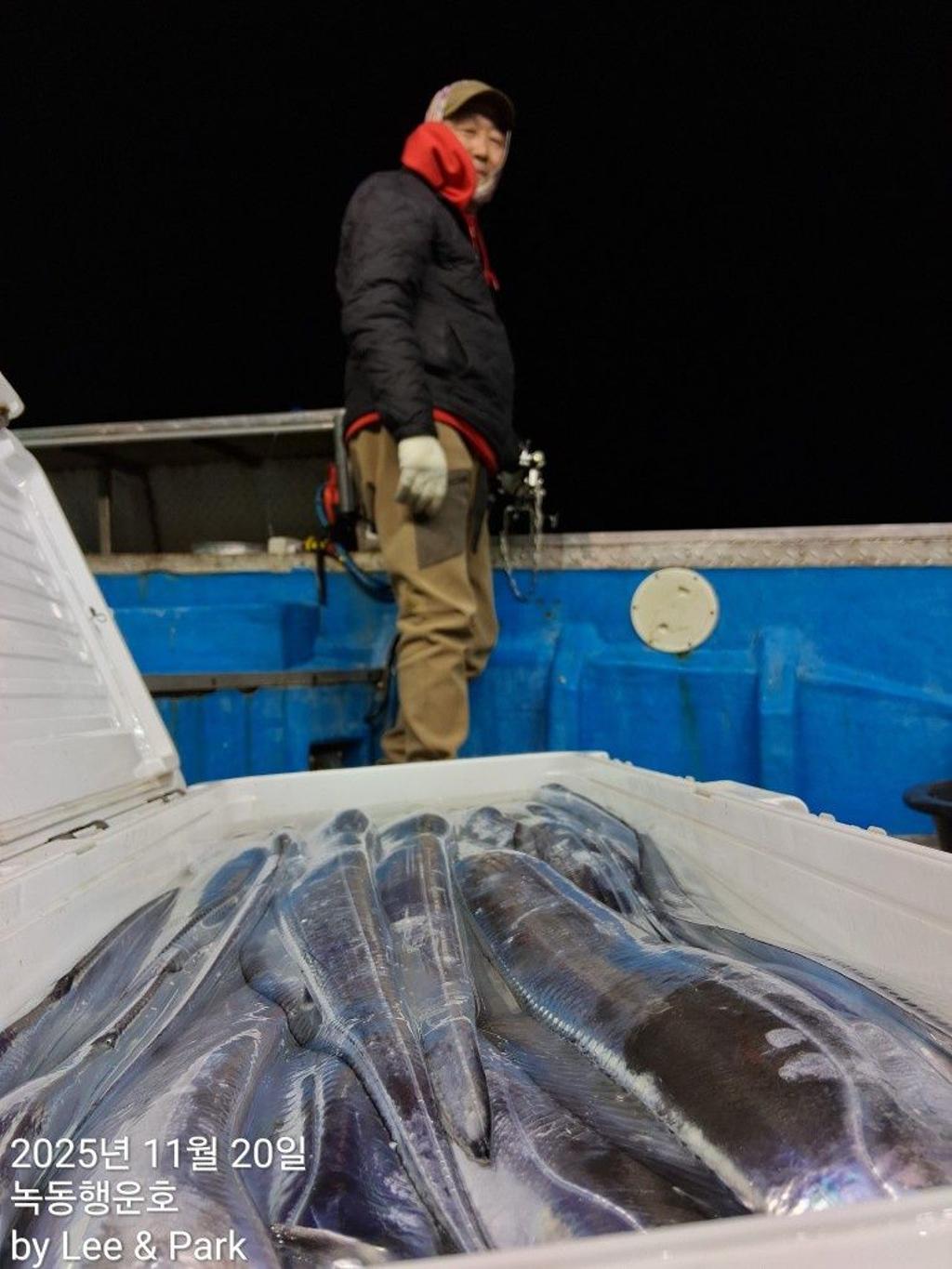 낚시뚜,갈치,녹동항,녹동대성호,낚시뚜4