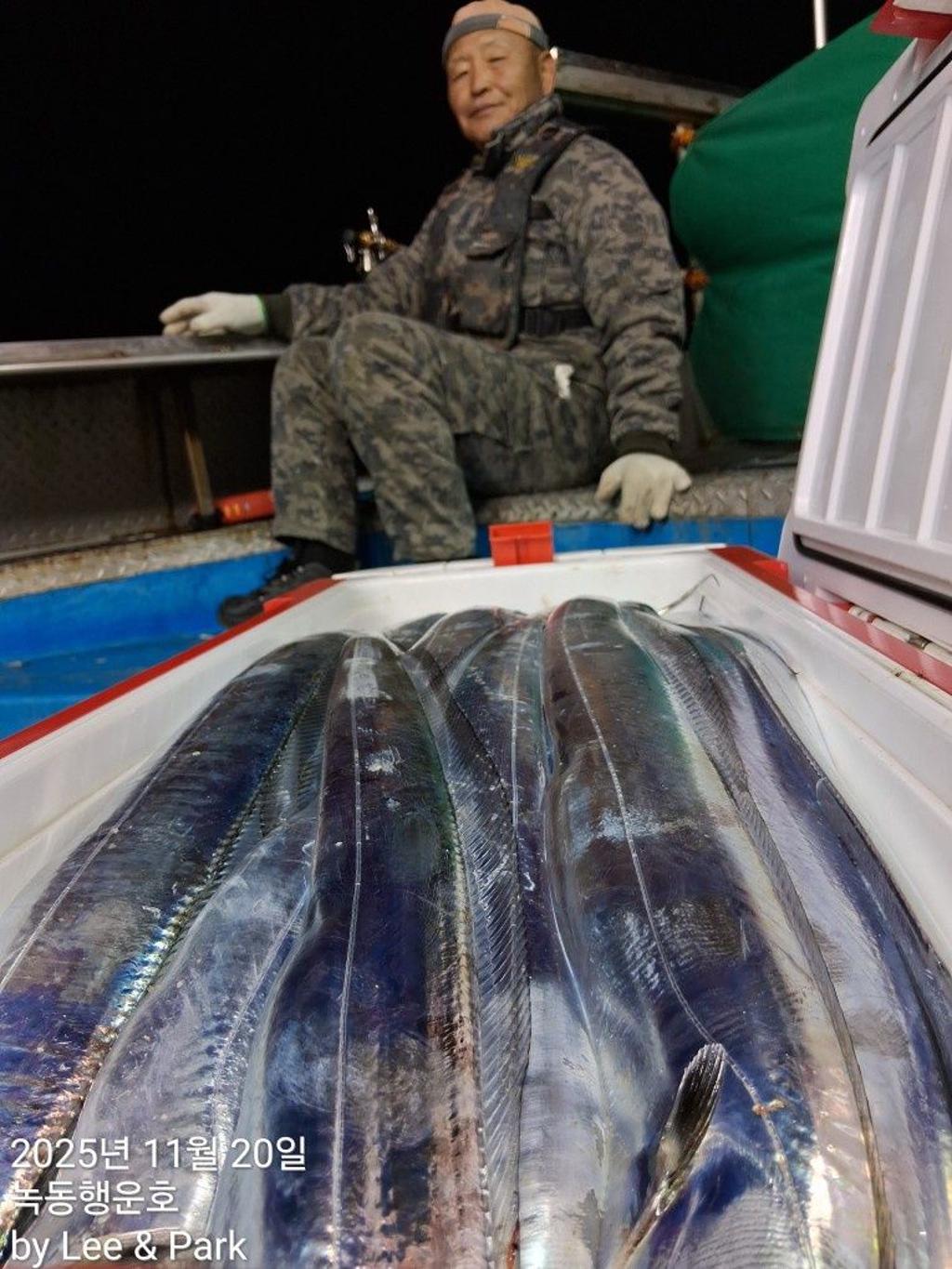 낚시뚜,갈치,녹동항,녹동대성호,낚시뚜3