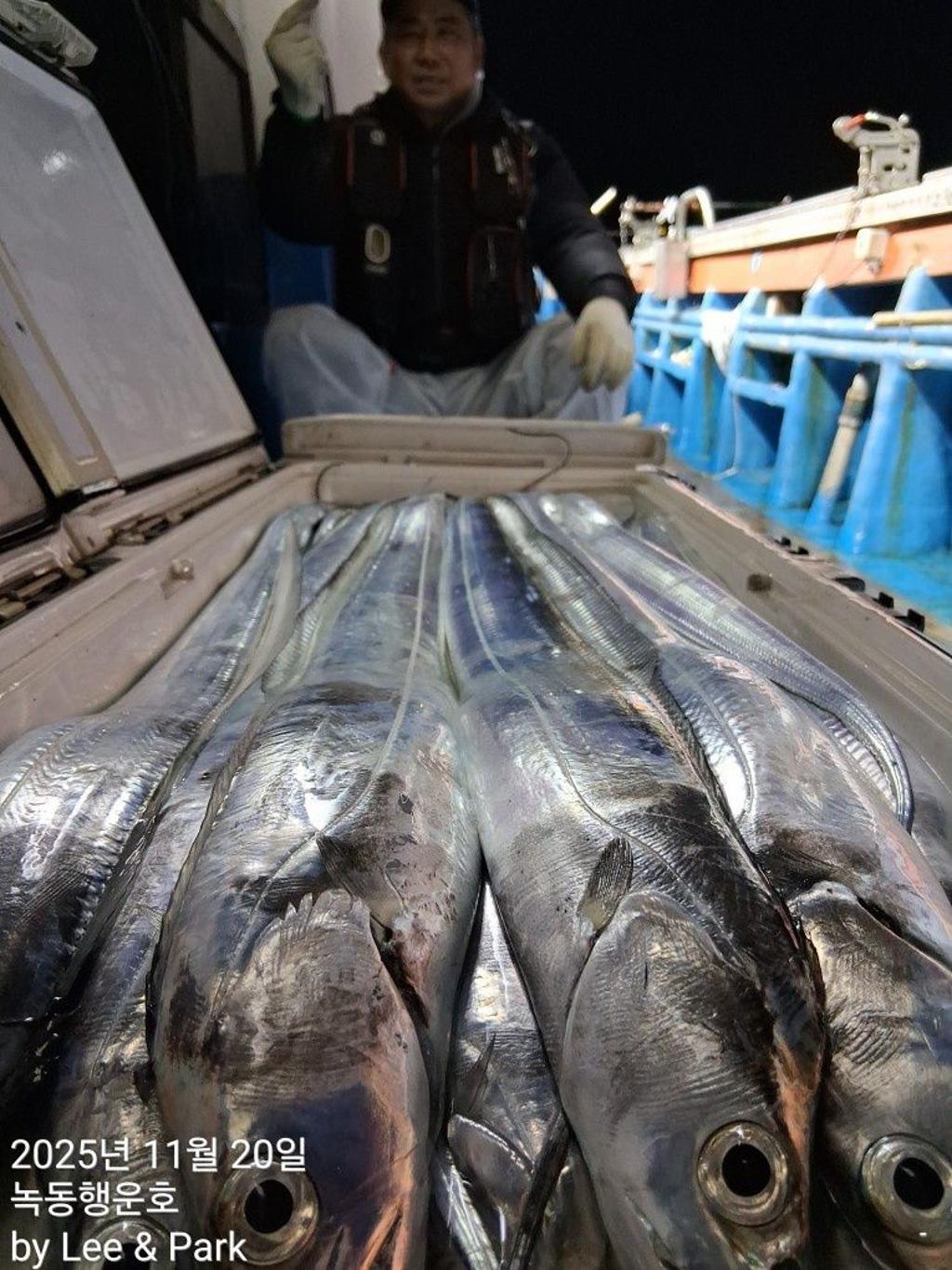 낚시뚜,갈치,녹동항,녹동대성호,낚시뚜2